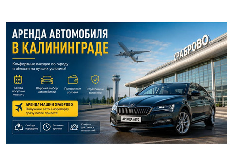 Прокат автомобиля в Калининграде: как выбрать транспорт для поездок