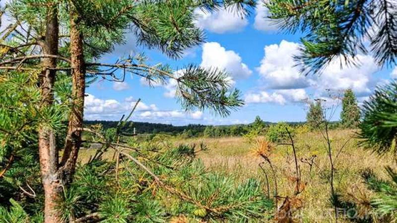 Продам: участок с домиком под Старым Изборском