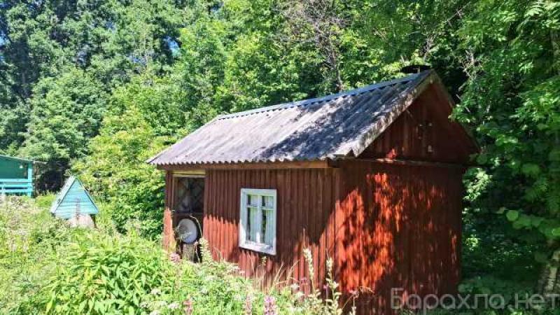 Продам: небольшой хуторок в лесной роще в Пскове